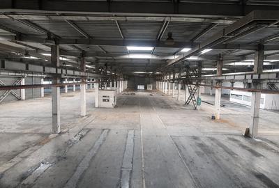 Spațiu industrial, de 20,702 mp, în Timișoara - 6