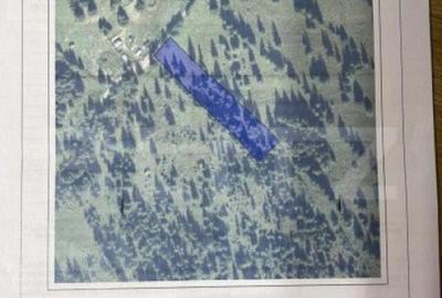 Teren de 5000 mp, în Central - 1