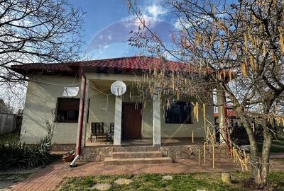 Casă de vânzare cu livadă și piscină – Giurgiu - 1