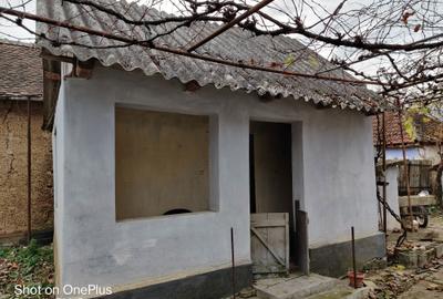 Casă cu 3 camere în Băile 1 Mai - 3