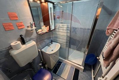 Apartament cu 3 camere decomandat, mobilat în Sud - 9