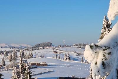 Teren 4000 mp Piatra Fantanele Județul Bistrița Năsăud - 2
