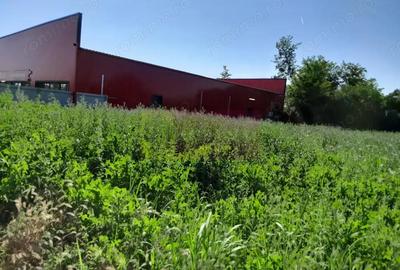 Movilita (IL)-teren de inchiriat aprox. 2 ha stradal, langa Profi - 1