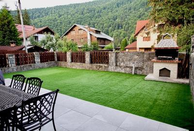 Vila turistica &business cu venit pasiv - 1