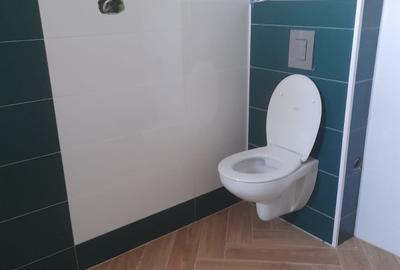 Duplex cu 4 camere cu Canalizare în Săftica - 19