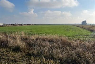 RECO Teren extravilan 11509 mp cu front la E60 -Sacadat - 1