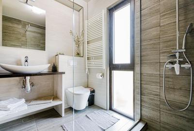 De vanzare pensiune in Sasca Montana - clasificare 3 margarete - 27