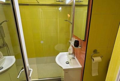 Apartament 2 camere - CENTRAL, SPITALUL JUDETEAN, BD. MIRCEA, mobilat si utilat - 6
