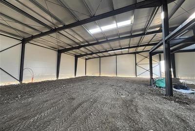 Spațiu industrial, 1200 mp în Theodor Pallady