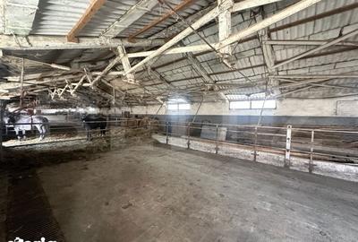 Spațiu comercial, de 356 mp, în Hărău - 13
