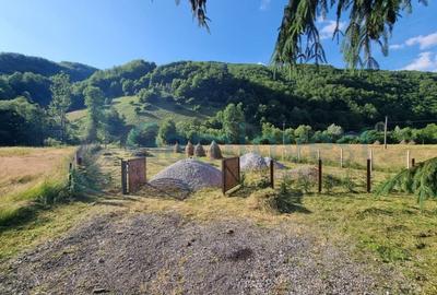 Teren intravilan 1692 mp in Remeti, Bihor, GAMINVEST, V4336 - 4