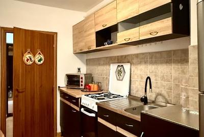 Studio decomandat cu terasă și loc de parcare  42 m², de închiriat în SubCetate - 6