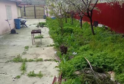 Casă cu 2 camere cu Teren 300 Mp în Colentina - 1