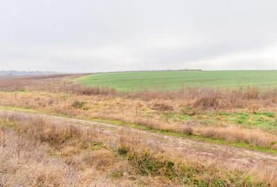 CERNICA - POSTA - TEREN INTRAVILAN CONSTRUCTII 15000 MP! - 13