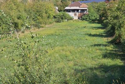 Spațiu comercial, în Baia Sprie - 7