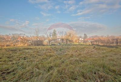 Comision 0%! 2 case Cincu, teren 2134mp, sura & curte libera - 37