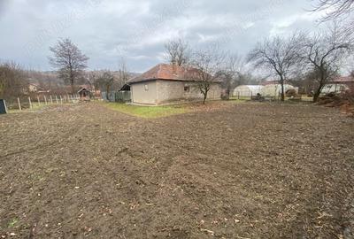 Casă cu 2 camere în Pestișu Mic - 2