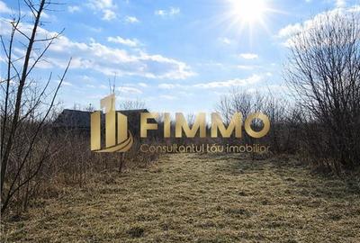 Spațiu comercial, în Cumpărătura - 2