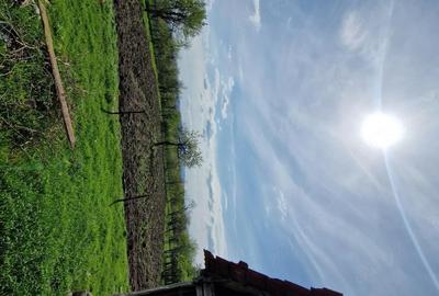 Casă cu Teren 756 Mp în Luguzău - 5