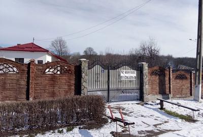 Casă cu 3 camere în Strejești - 6