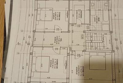 Casă cu Teren 2390 Mp în Biled - 3