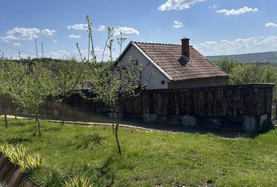 Casă cu 4 camere cu Teren 1000 Mp în Cojocna - 4