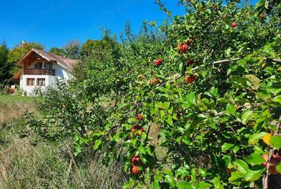 Casă cu 6 camere în Soveja - 6