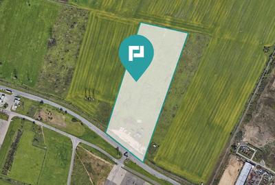 Teren agricol extravilan de 55340 mp, în Micălaca - 5