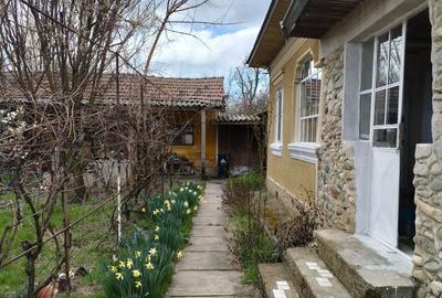 Casă cu 3 camere în Băneasa - 1