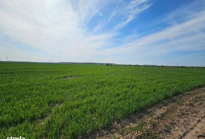 Spațiu comercial, în Afumați