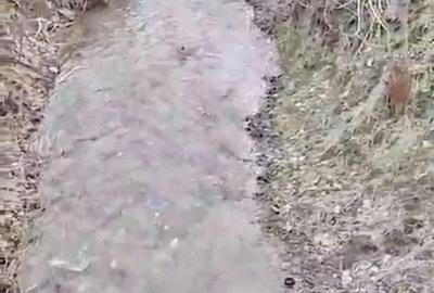 Casă cu 4 camere cu Teren 2000 Mp în Slava Cercheză - 5