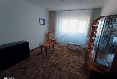 Apartament cu 3 camere decomandat în Lunca Cetățuii - 8