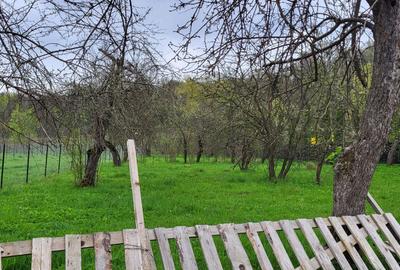 Teren de 2900 mp, în Rădășeni - 2