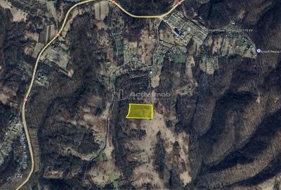Teren de 17265 mp, în Marginea - 1