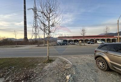 Teren Construcții intravilan de 4600 mp, în Exterior Nord - 5