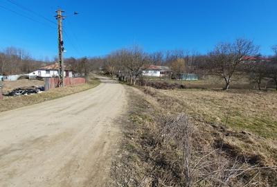 Teren agricol intravilan de 6000 mp, în Văculești - 2