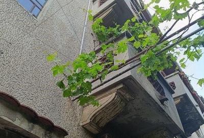 Dacia-Toamnei singur in curte - 2