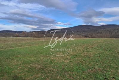 Teren extravilan de vanzare – 500 mp – Talmaciu, zona apropiata de intravilan - 4