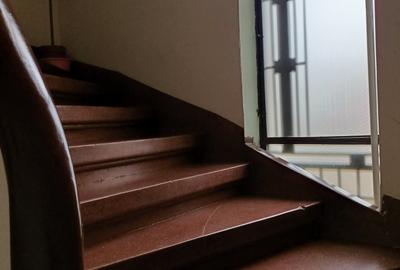 Apartament 5 camere cu vedere catre  Parcul Kiseleff - 20