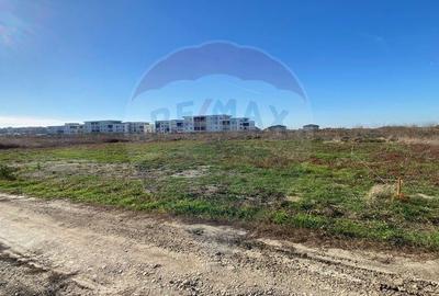 Teren 465mp Tunari / Strada 1 Decembrie - 3