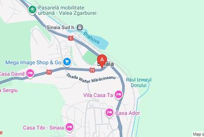 Direct Proprietar : Vila Sinaia - Ocazie unica - 5