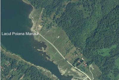 Teren de 10000 mp, în Poiana - 4