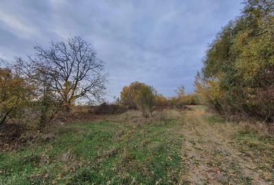 Teren Construcții intravilan de 1370 mp, în Domnești - 13