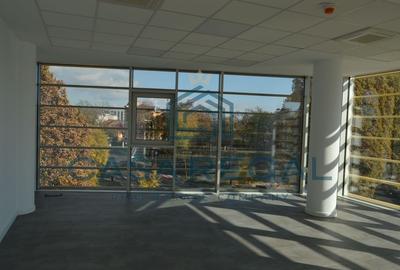 Spatiu de birouri, 160mp utili, zona Cantemir - 15