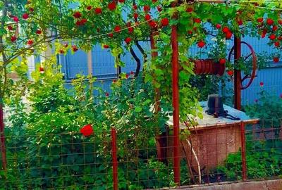 Casă cu 3 camere în Exterior Vest - 5