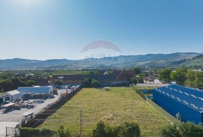 Teren 4,400mp Carpinis / DJ 112D