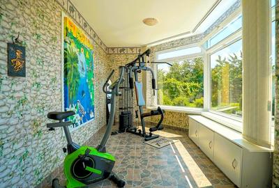 Proprietate unică pe malul lacului Moacșa – liniște, rafinament, eleganta - 39