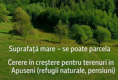 Spațiu comercial, în Câmpeni - 3