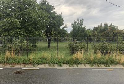Teren de 1000 mp, în Valea Mare - 3