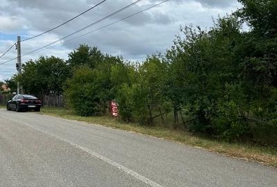 Vânzare teren 17000 mp, localitatea Pojogeni, jud. Gorj - 1